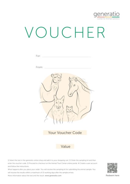 Voucher Generatio online shop
